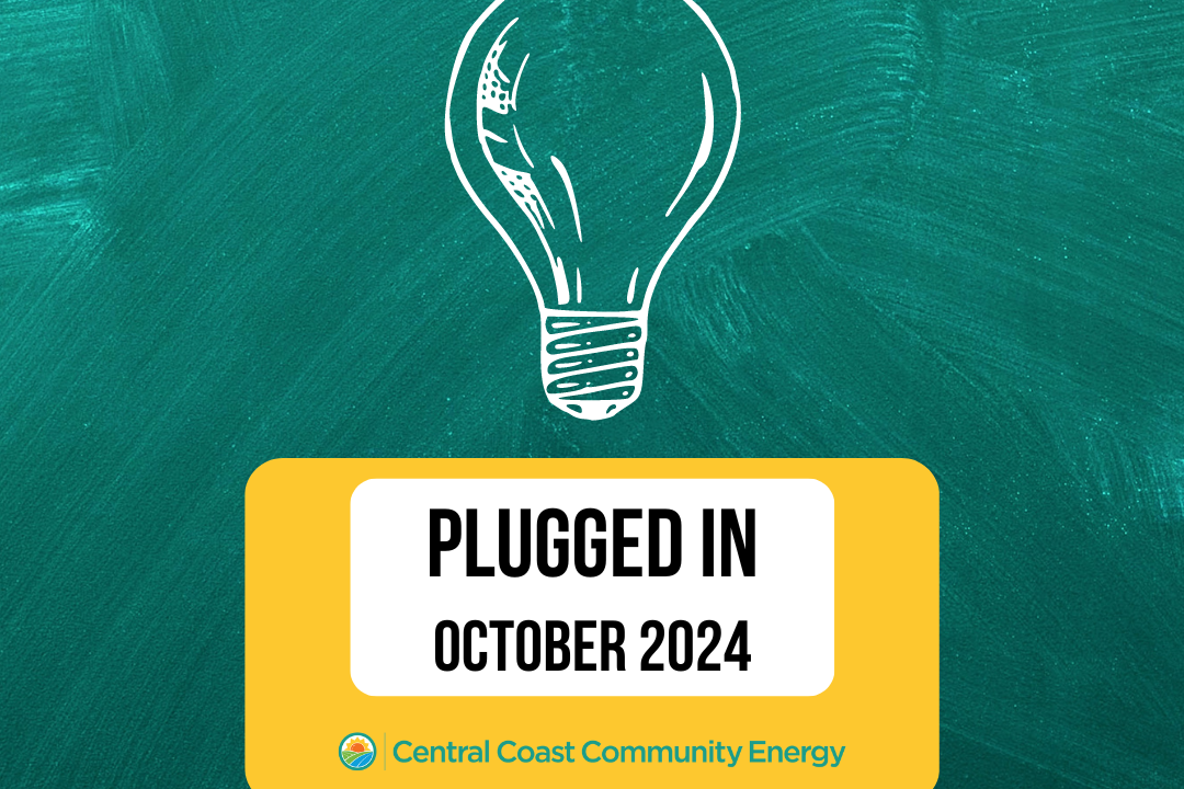 Newsletter – October 2024