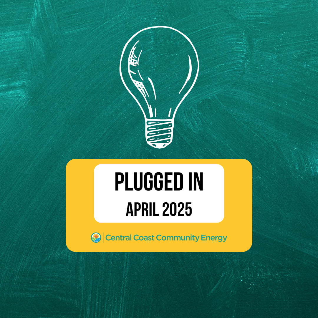 Newsletter – April 2025