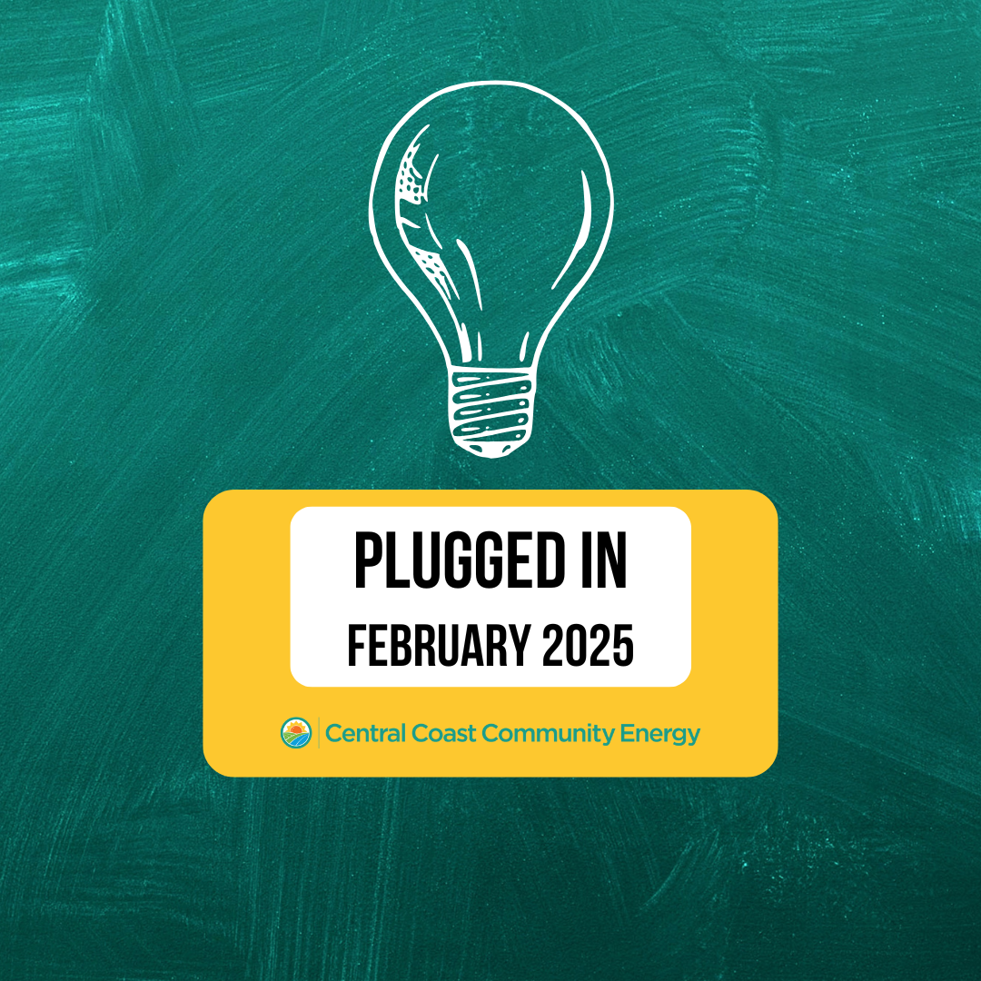 Newsletter – February 2025