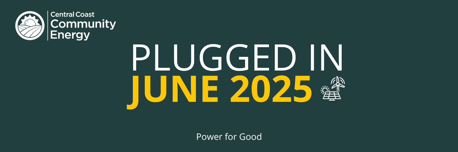 Newsletter – June 2025