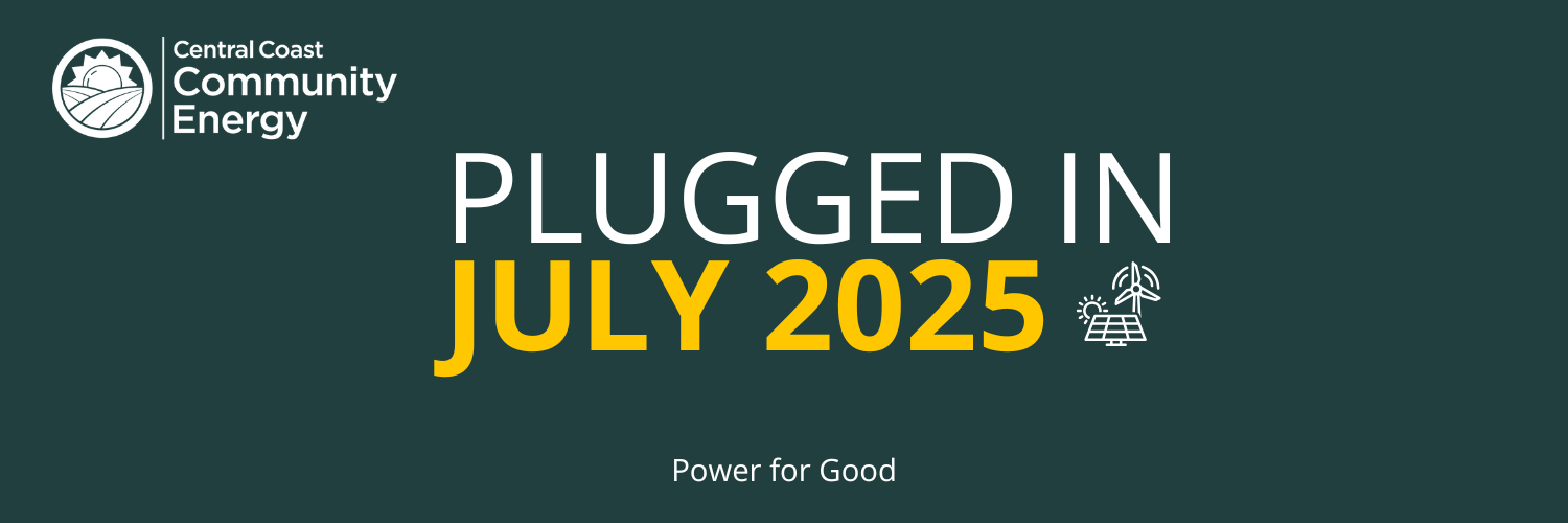 Newsletter – July 2025