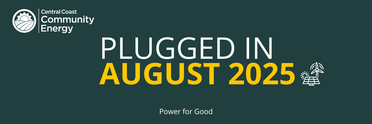Newsletter – August 2025