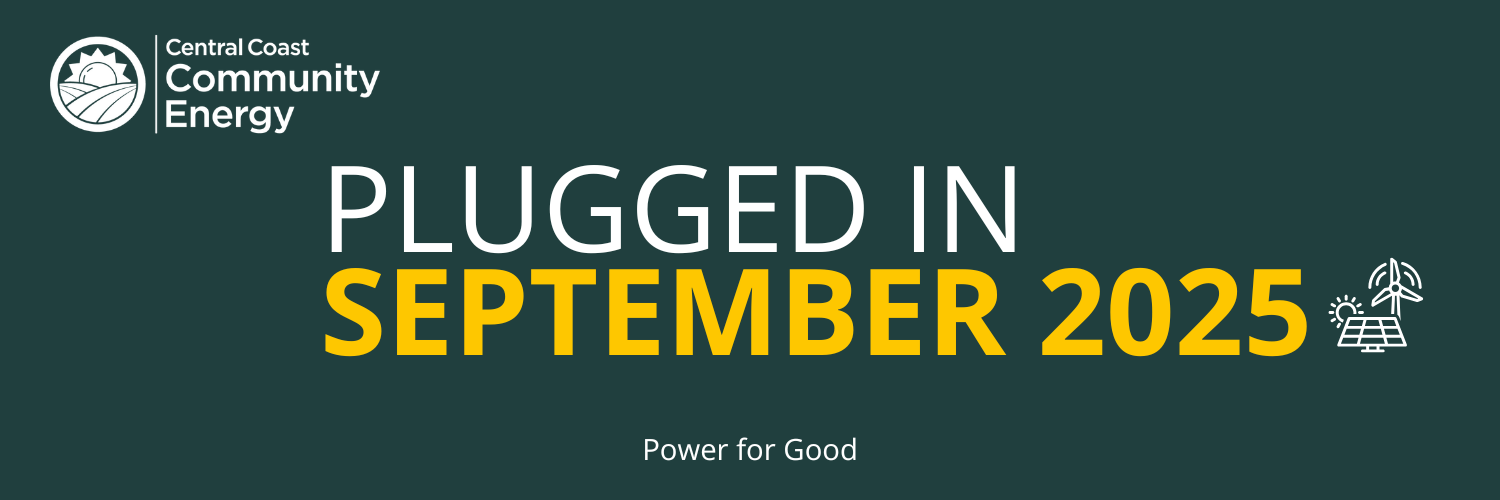 Newsletter – September 2025