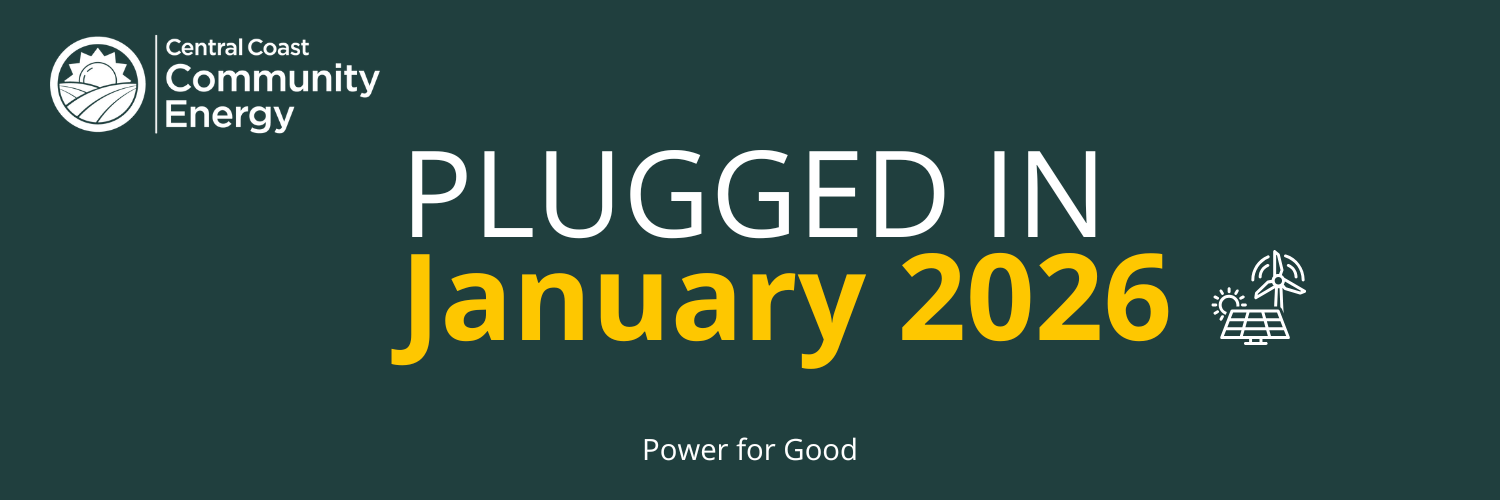 Newsletter – January 2026